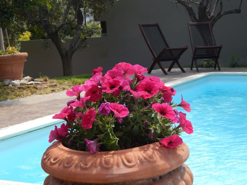 Slow Living Beautiful Villa Rafína المظهر الخارجي الصورة