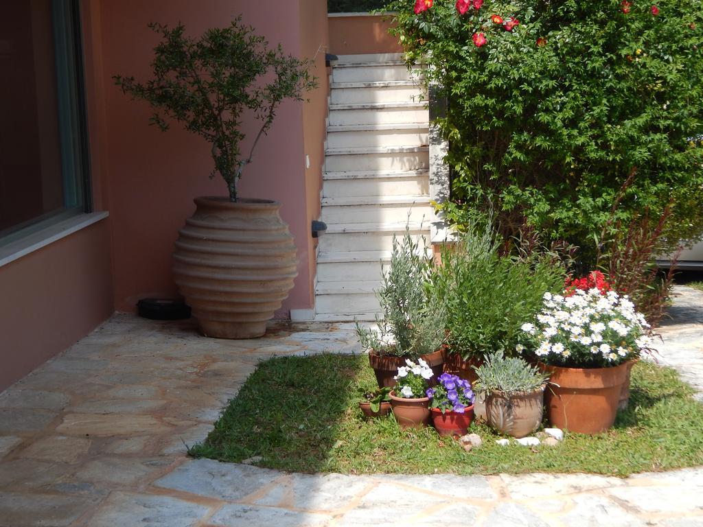 Slow Living Beautiful Villa Rafína المظهر الخارجي الصورة