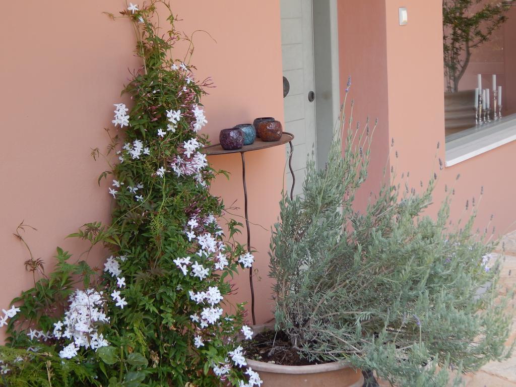 Slow Living Beautiful Villa Rafína المظهر الخارجي الصورة