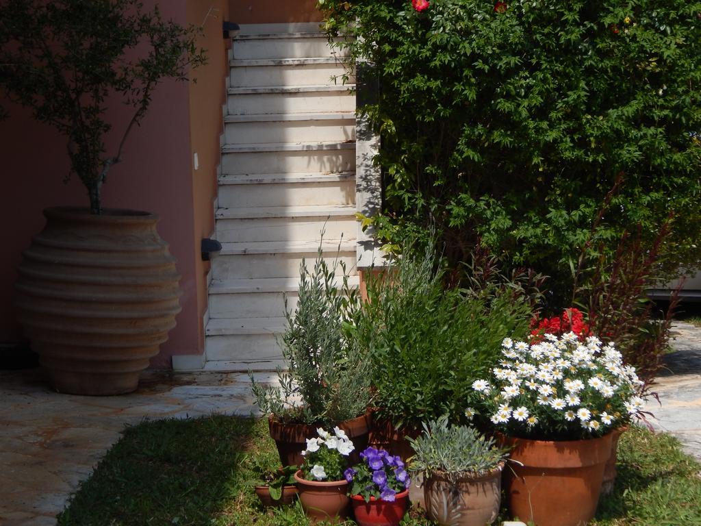 Slow Living Beautiful Villa Rafína المظهر الخارجي الصورة